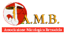 A.M.B. Associazione Micologica Bresadola - Gruppo di Mantova