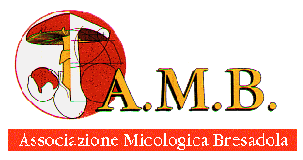 A.M.B. Associazione Micologica Bresadola - Gruppo di Mantova